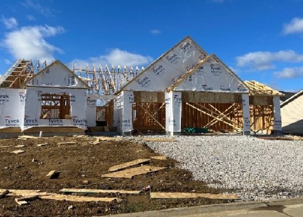 Home Renovation Services
